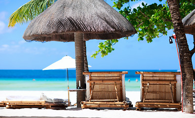 Image showing Beach chairs on tropical coast