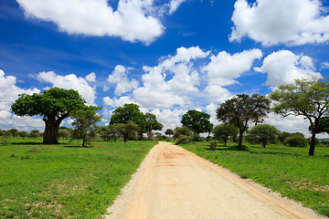 Image showing Tarangire national park