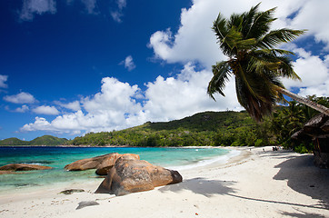 Image showing Idyllic tropical beach