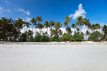 Image showing Tropical beach