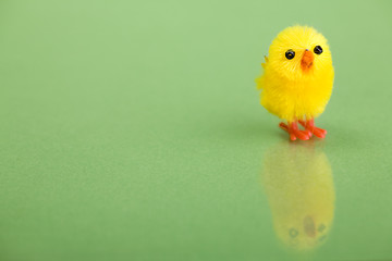 Image showing Cute chicken.