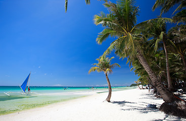 Image showing Tropical Paradise