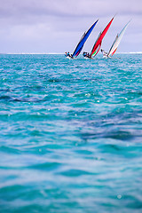 Image showing Regatta