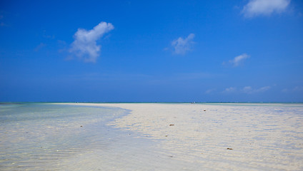 Image showing Tropical beach