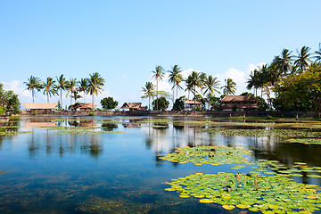 Image showing Lotus lagoon in Bali