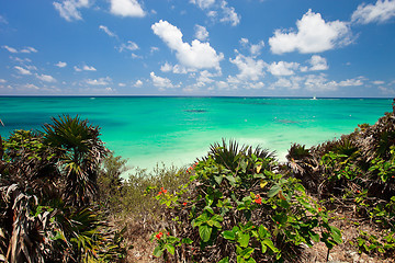 Image showing Caribbean sea