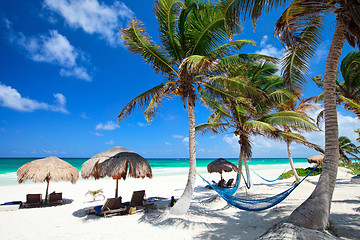 Image showing Beautiful Caribbean beach