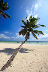 Image showing Tropical beach