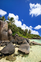 Image showing Beautiful rocky coast in Seychelles