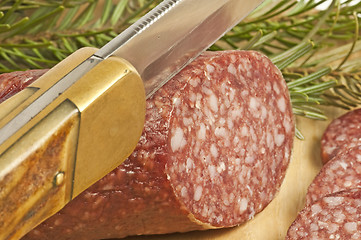 Image showing salami of deer