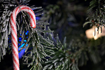 Image showing Christmas decoration