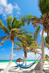 Image showing Beautiful Caribbean beach