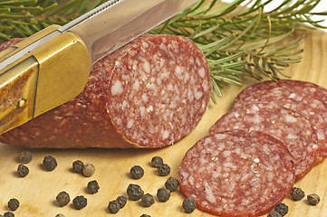 Image showing salami of deer