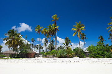 Image showing Tropical beach