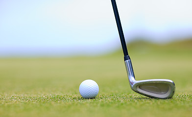 Image showing Golf Macro.