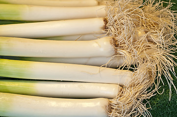 Image showing leek