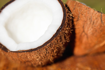 Image showing Coconut macro