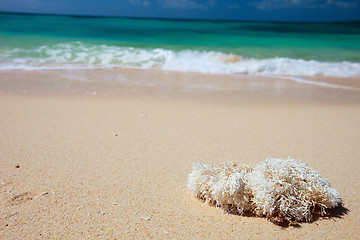 Image showing Perfect tropical beach