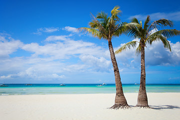 Image showing Perfect beach