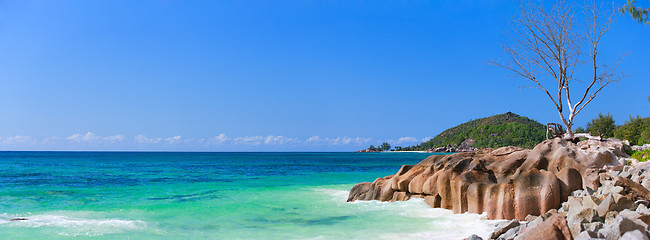 Image showing Stunning coast at Seychelles