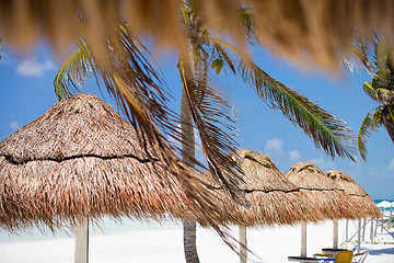 Image showing Beach umbrellas