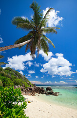 Image showing Stunning beach in Seychelles