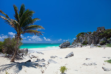 Image showing Caribbean beach