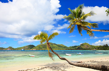 Image showing Perfect beach in Seychelles