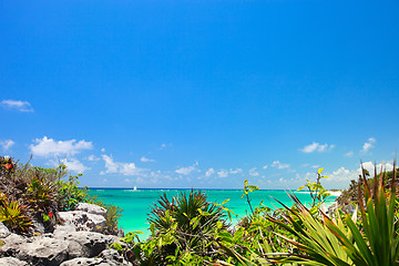 Image showing Caribbean sea