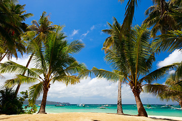 Image showing Tropical Paradise