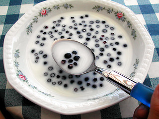 Image showing Blueberry,milk and sugar