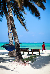 Image showing Tropical beach