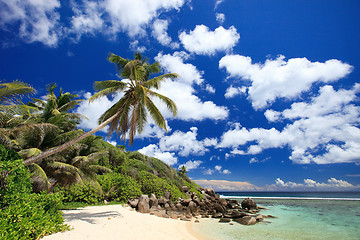 Image showing Perfect beach in Seychelles