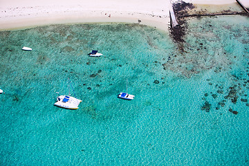 Image showing Above view of tropical coast