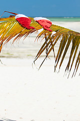 Image showing Santa hats on palm leaf