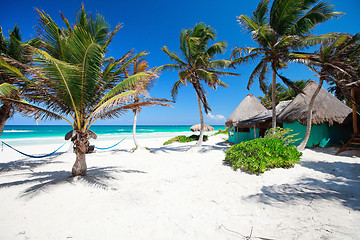 Image showing Beautiful Caribbean beach