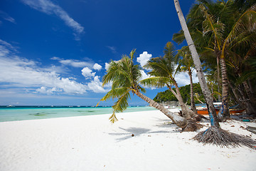 Image showing Tropical Paradise