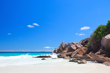 Image showing Stunning beat in Seychelles