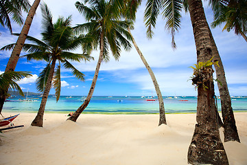 Image showing Perfect tropical beach with palm trees