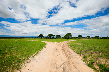 Image showing Tarangire landscape in Tanzania