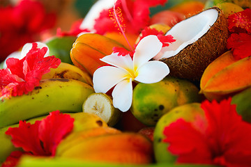 Image showing Coconuts, fruits and tropical flowers