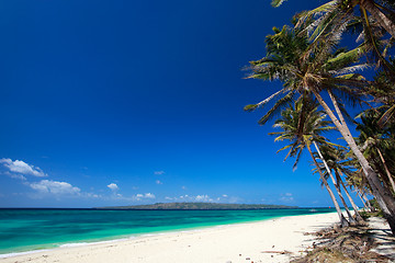 Image showing Tropical Paradise