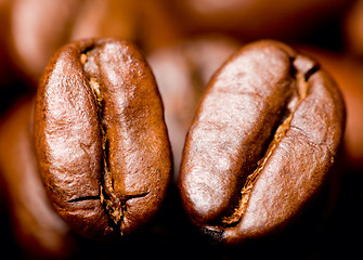 Image showing Coffee beans