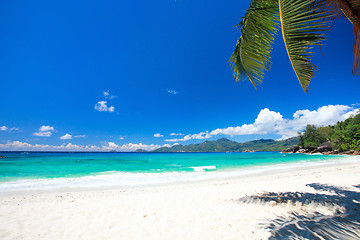 Image showing Perfect beach in Seychelles