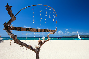 Image showing Puka Shell beach