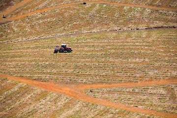 Image showing Harvest