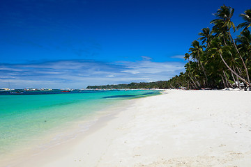 Image showing Perfect exotic beach landscape
