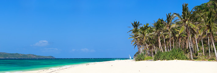 Image showing Tropical Paradise