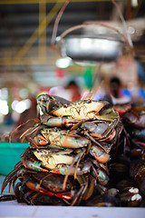 Image showing Seafood market