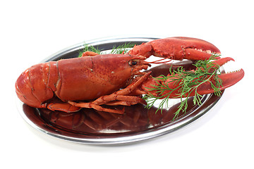 Image showing fresh lobster with dill